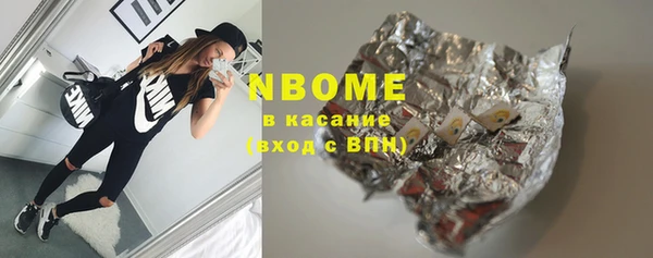 хмурый Белокуриха