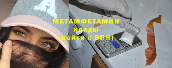 ГАЛЛЮЦИНОГЕННЫЕ ГРИБЫ Богданович