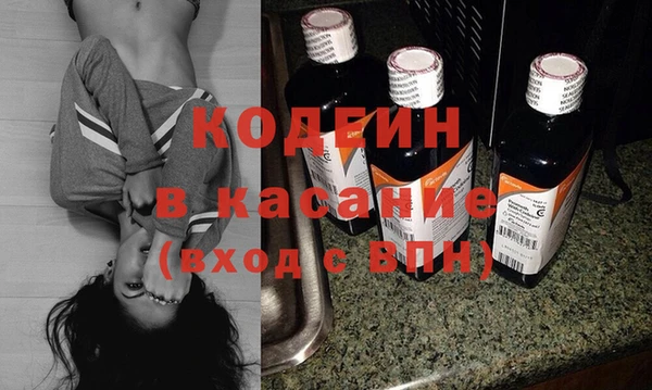 хмурый Белокуриха