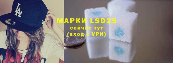 ГАЛЛЮЦИНОГЕННЫЕ ГРИБЫ Богданович