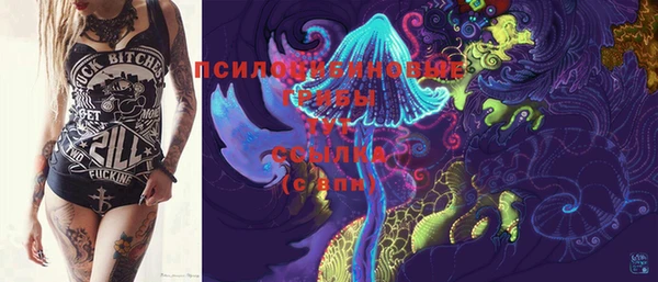 ГАЛЛЮЦИНОГЕННЫЕ ГРИБЫ Богданович