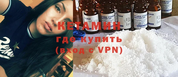 ГАЛЛЮЦИНОГЕННЫЕ ГРИБЫ Богданович